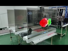 Διαφανής οθόνη OLED