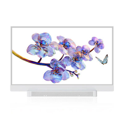 OEM ODM Διαφανής οθόνη OLED, 55 Διαφανής οθόνη OLED