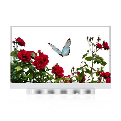 OEM ODM Διαφανής οθόνη OLED, 55 Διαφανής οθόνη OLED