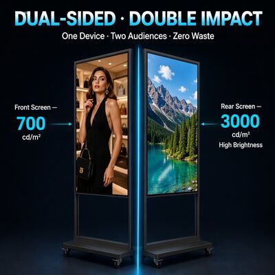 Dual Sided Independent Display 3000 Nits High Bright 700 Nits Standard 43 55 65 Inch Showcase Window Signage OEM ODM